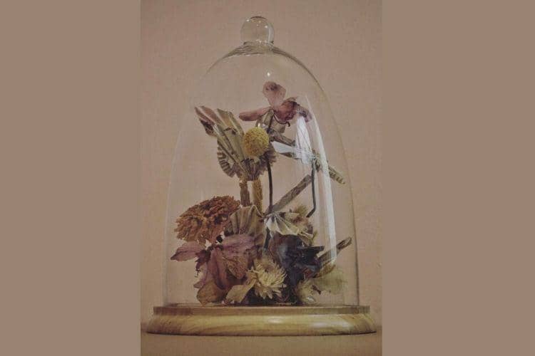 Instagram.com/tarabasro