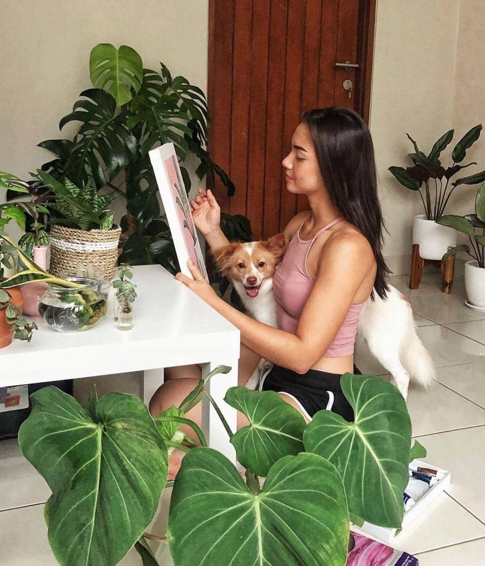 instagram.com/angelagilsha