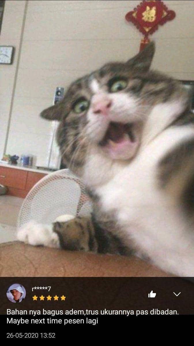 Twitter.com/txtdarionlshop