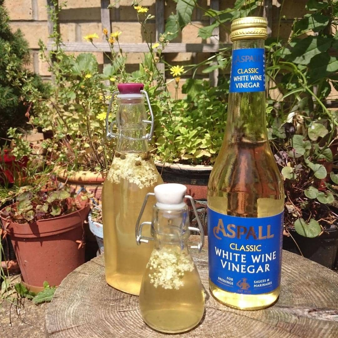 Instagram.com/Aspallvinegar