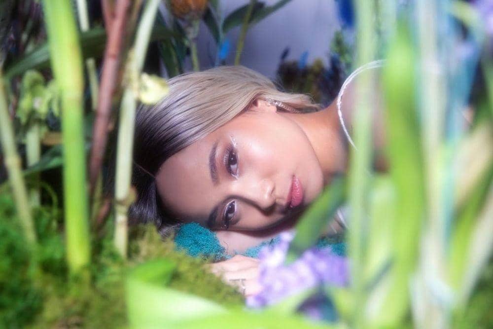 Instagram.com/nikizefanya