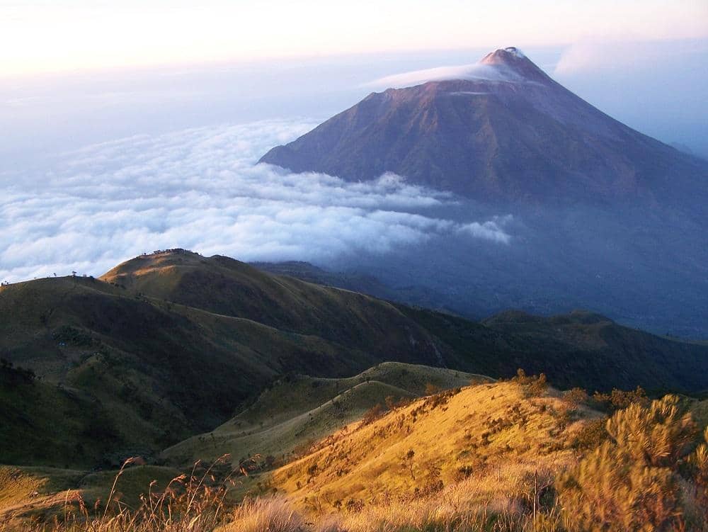 Primeverdhana.wordpress.com