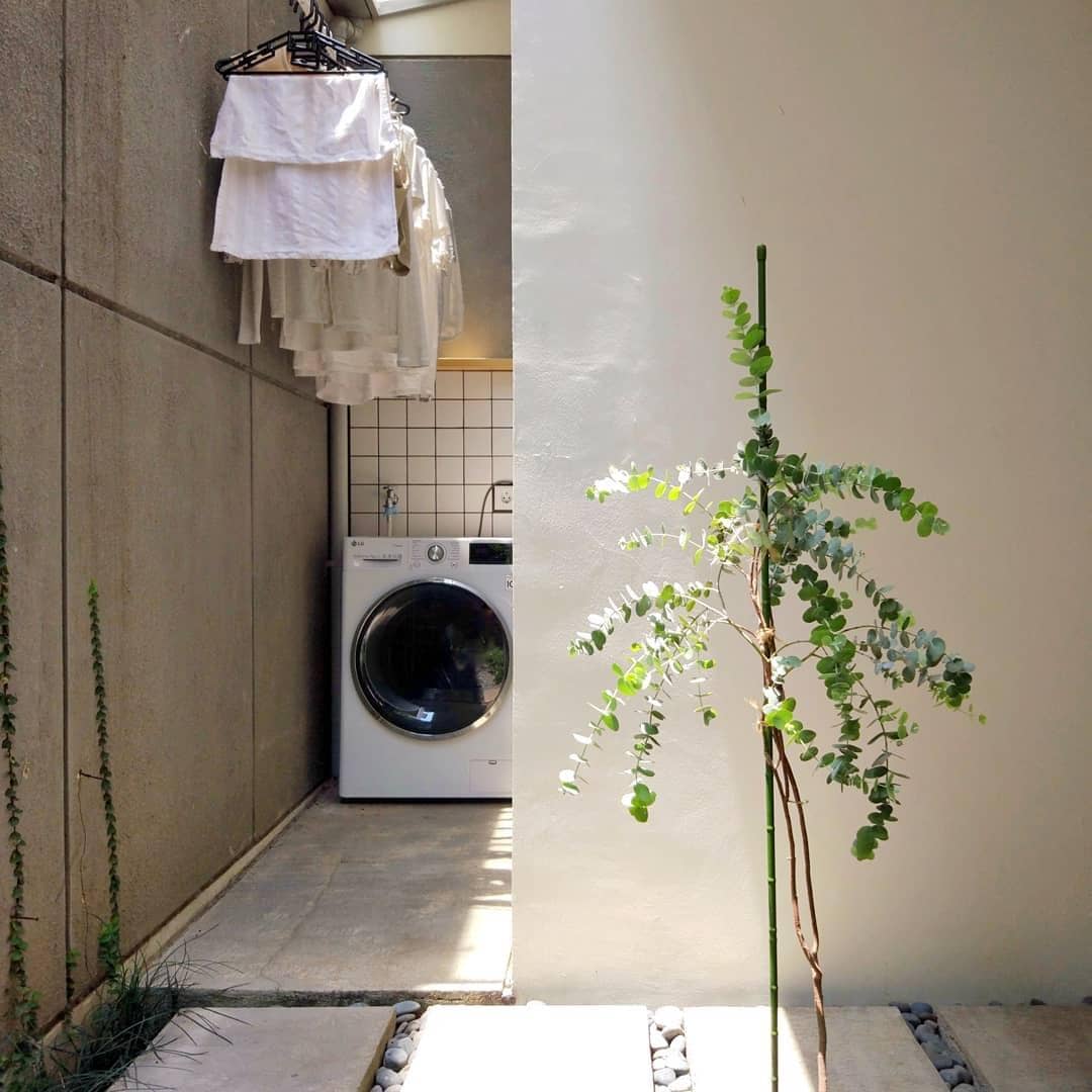 Instagram.com/ruma.ciel