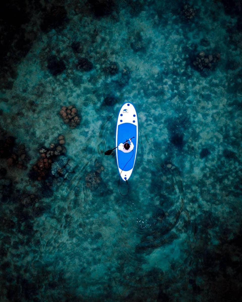 instagram / @ardgelinck