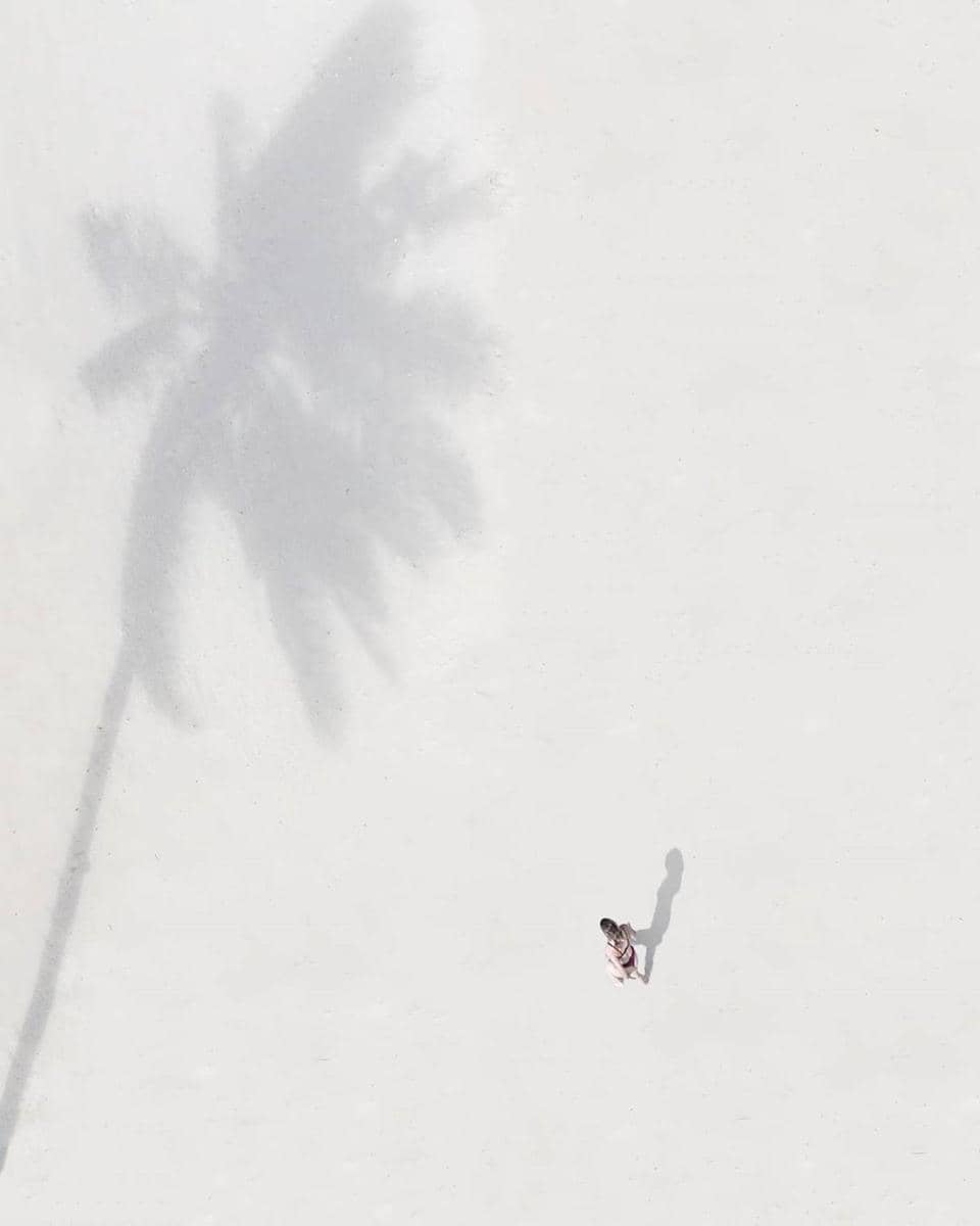 instagram / @bradscanvas