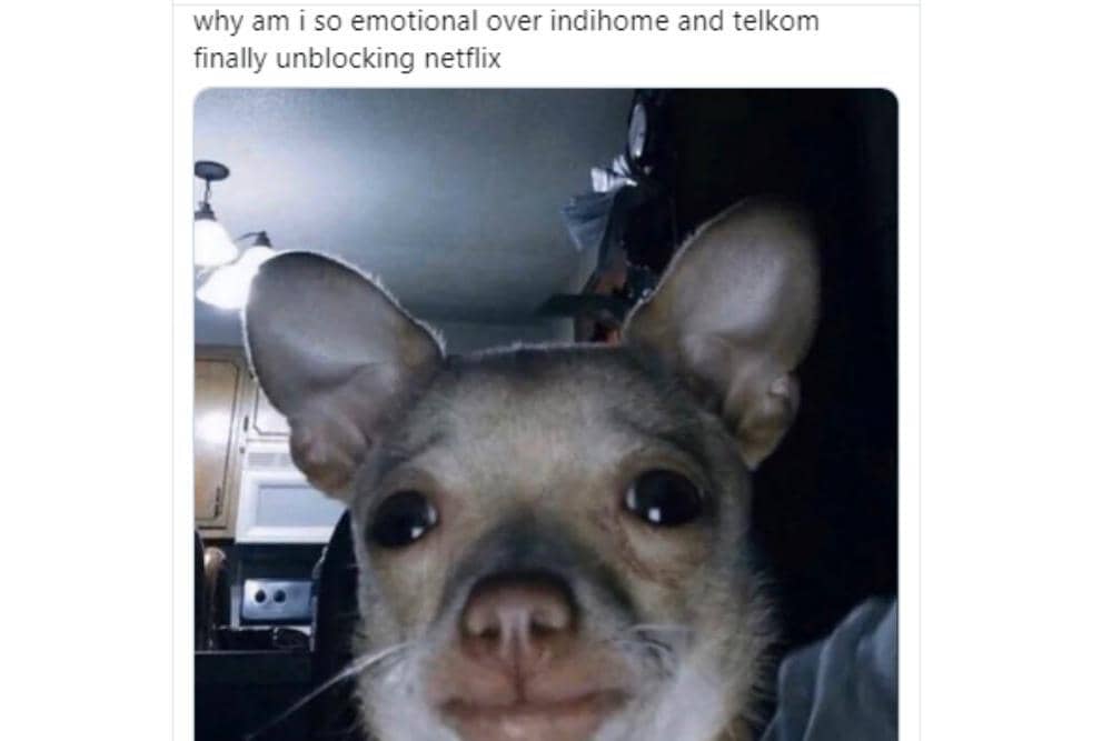 Twitter.com/ceramicskin