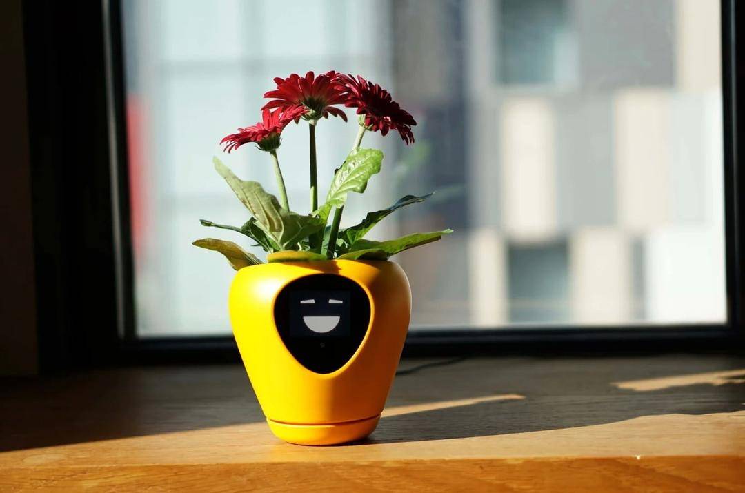 10 Pot Tanaman Menggemaskan Ini Siap Percantik Meja Kerjamu