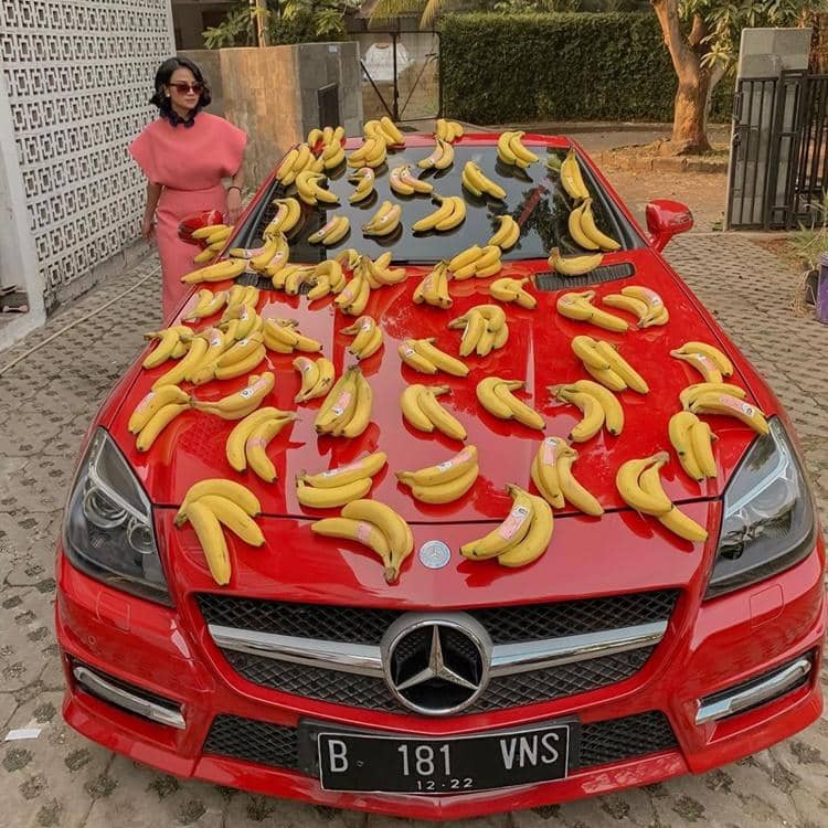 Instagram.com/vanessaangelofficial