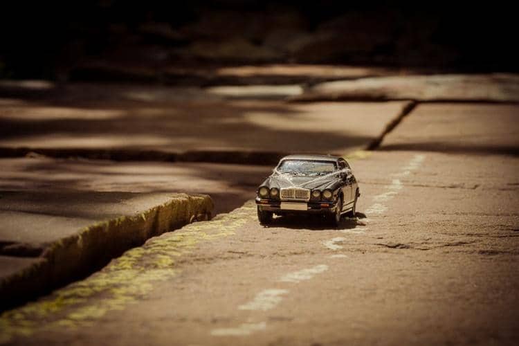 Boredpanda.com/Simon