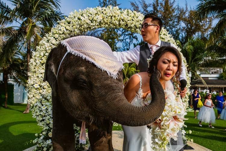 Boredpanda.com/Bee Two Sweet