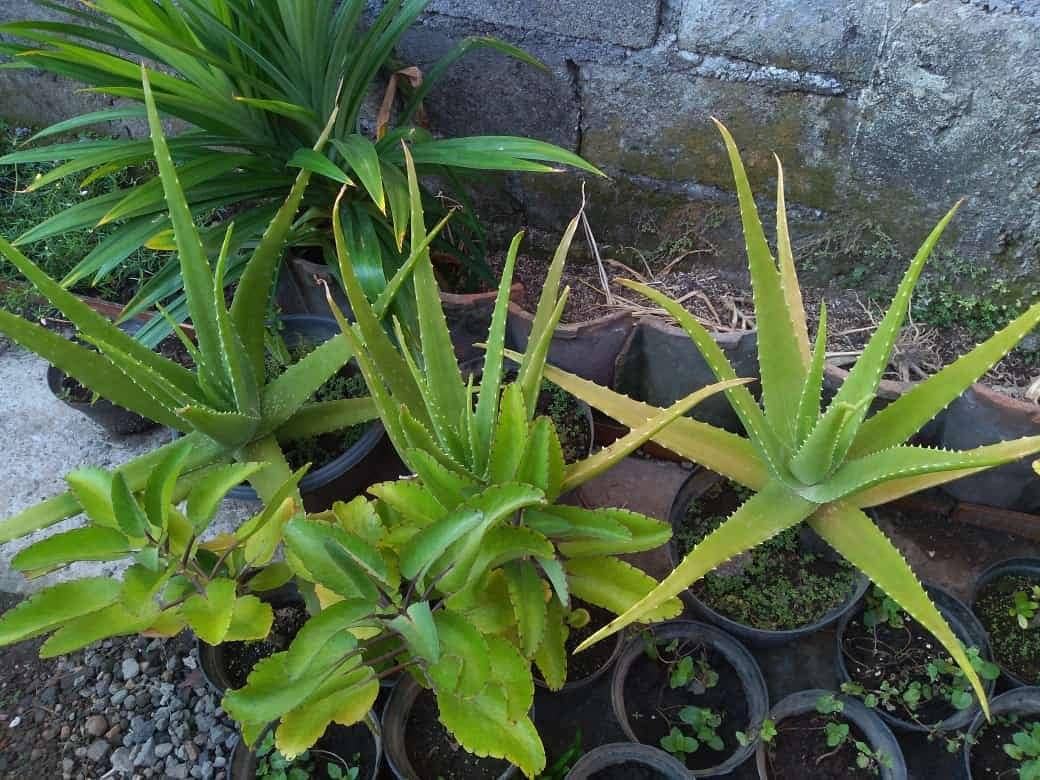 Instagram.com/Ferbi_shop