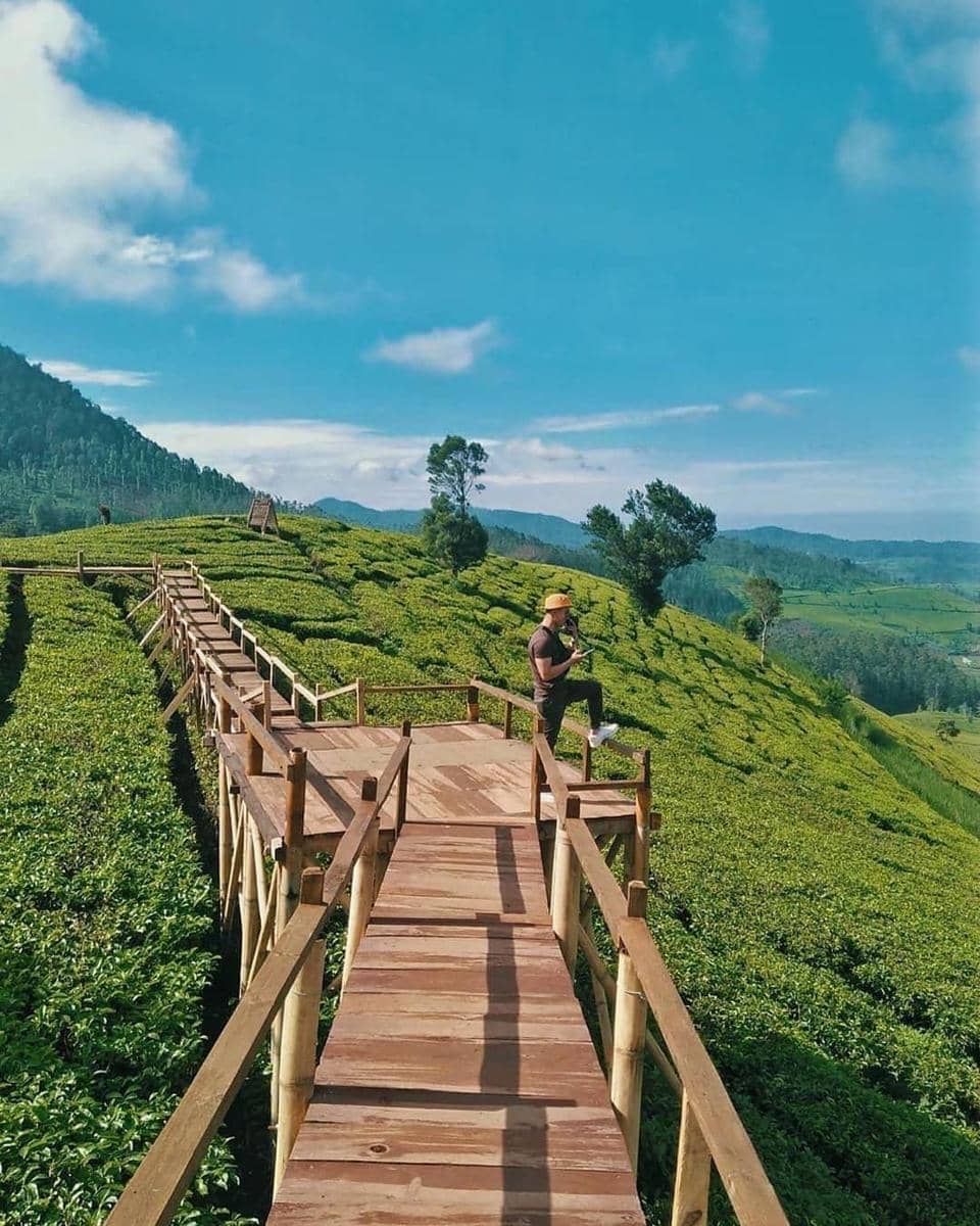 instagram.com/ sigotik91