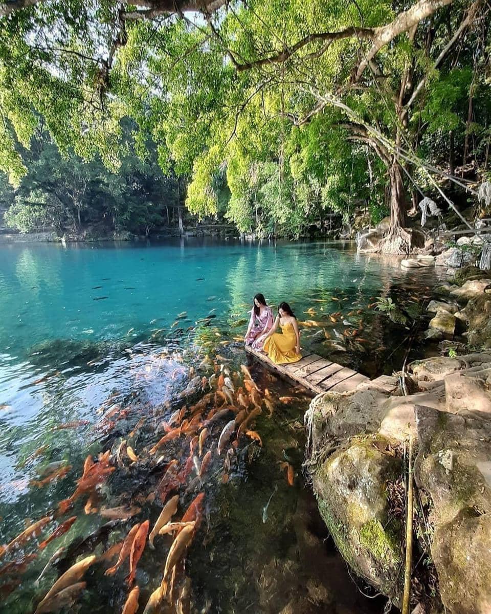 instagram.com/ akarifqulmaula