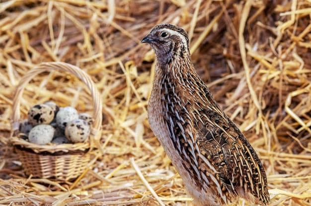 freepik.com/ planamultimedia