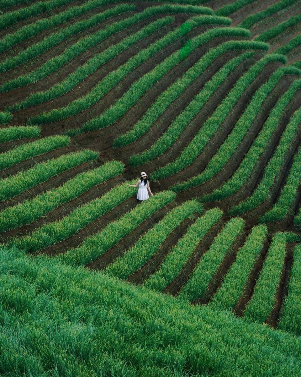 instagram.com/ dprasticaaa__