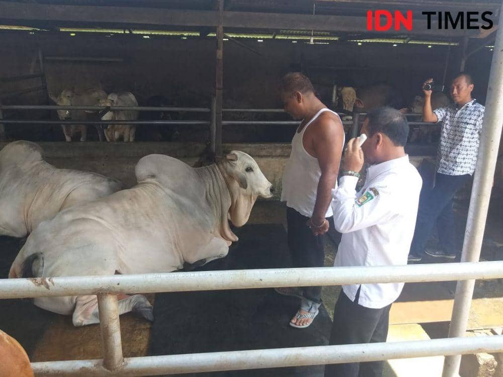 IDNTimes.com/Handoko