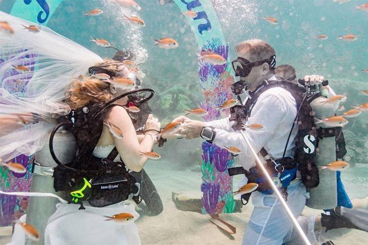 Keren! 10 Foto Pernikahan di Bawah Laut Ini Bikin Berdecak Kagum