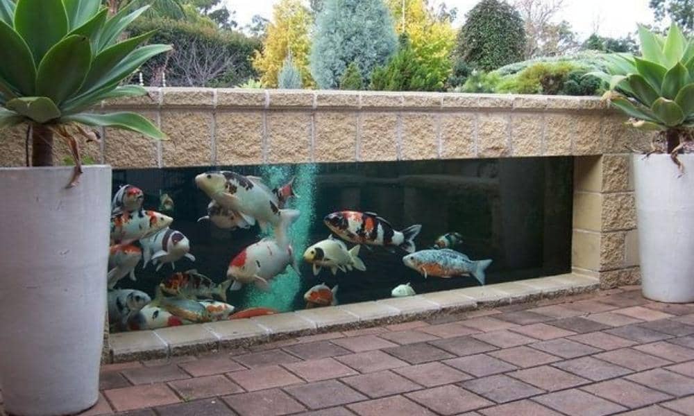 Backyardfenceideas.info