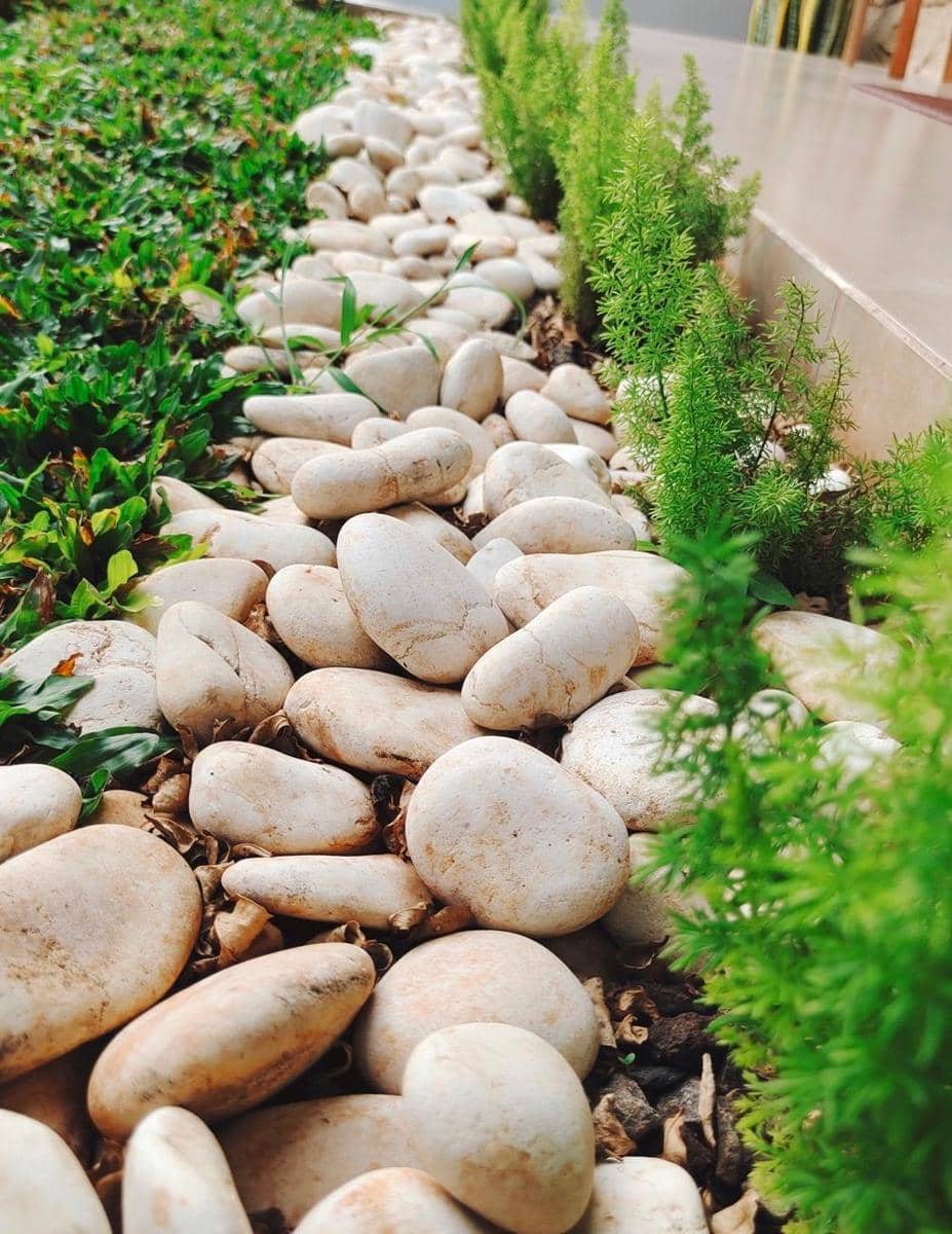 Popbela.com/Ayu Utami