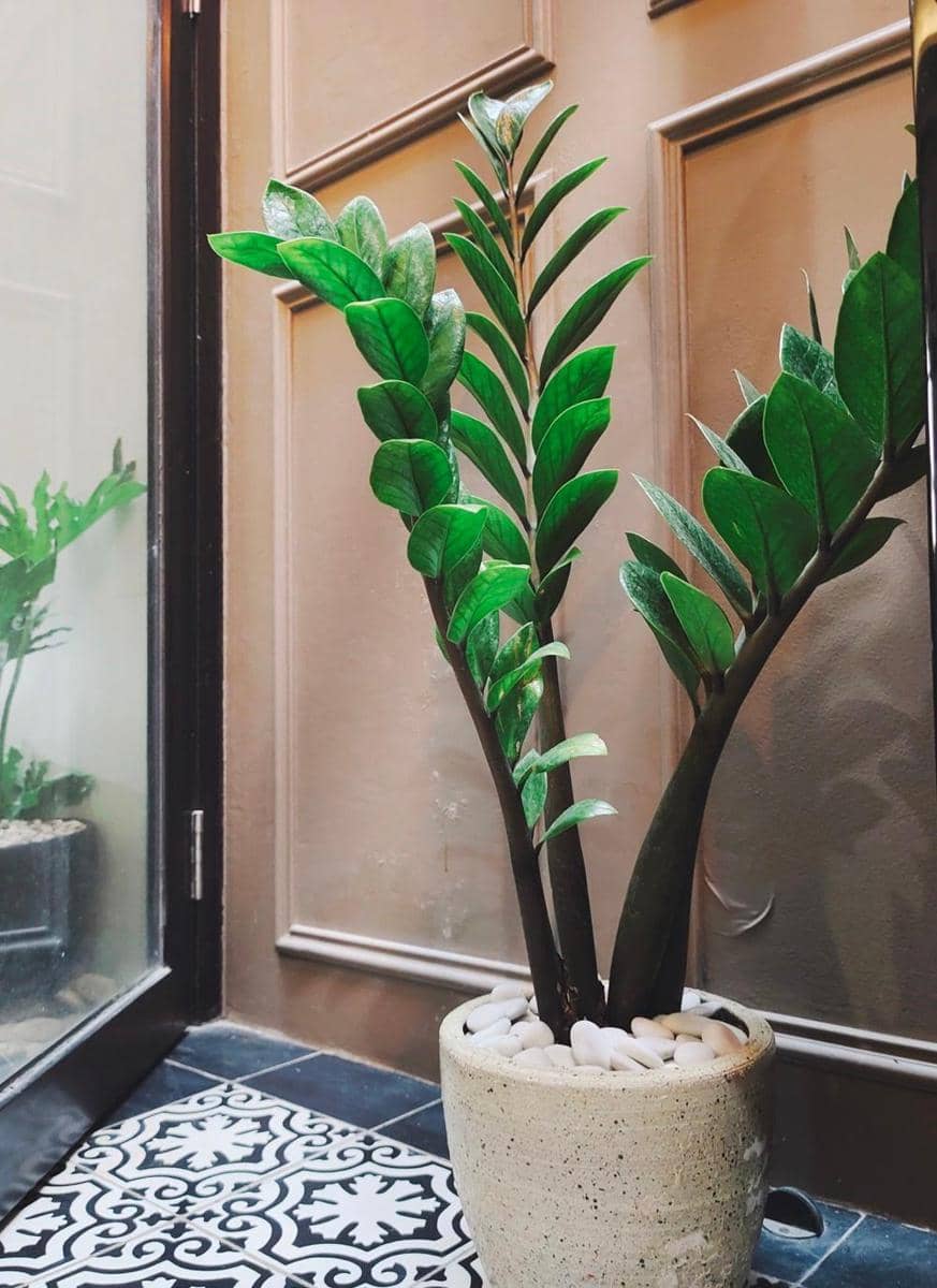 Popbela.com/Ayu Utami