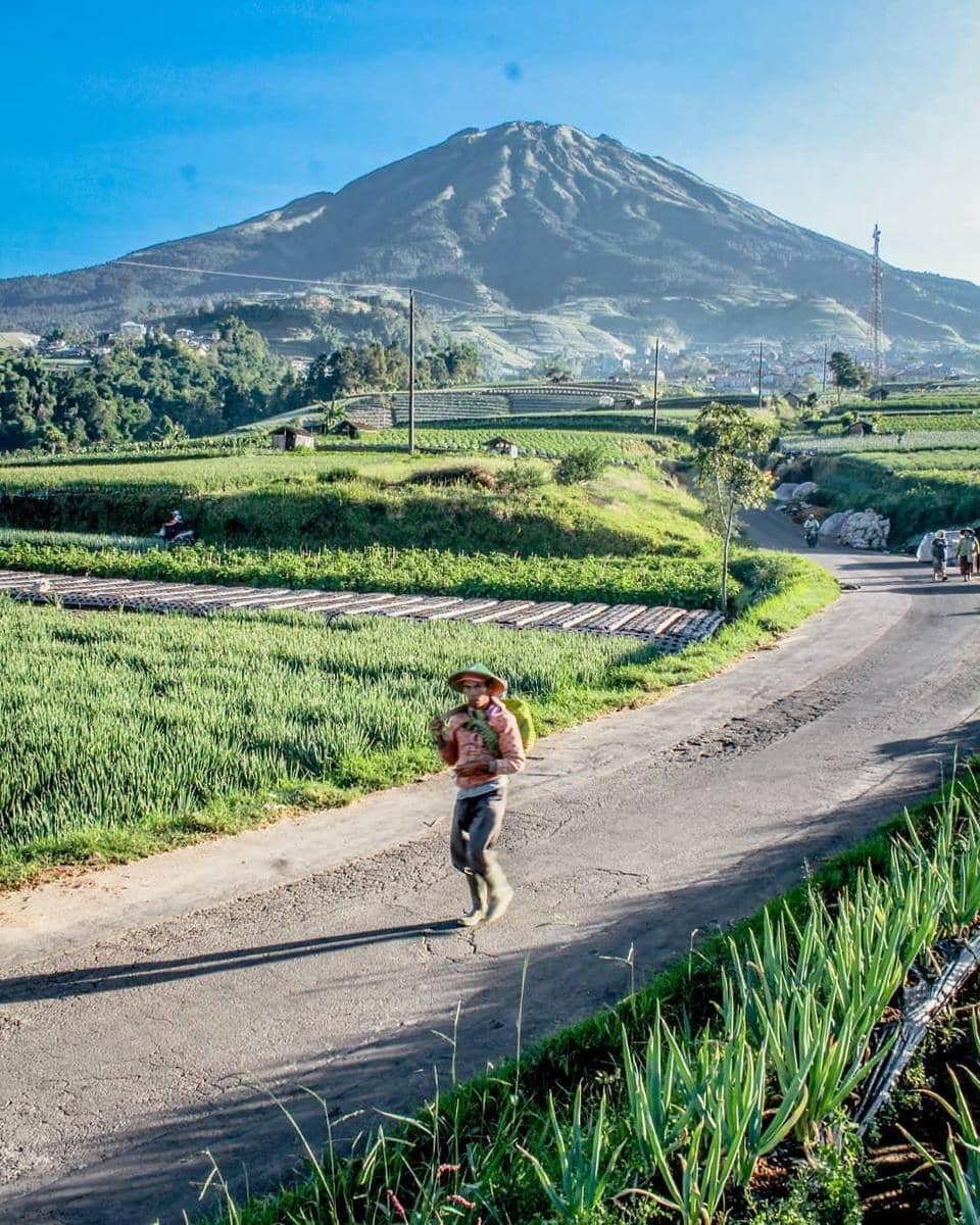 instagram.com/ mhd_fhrrzii