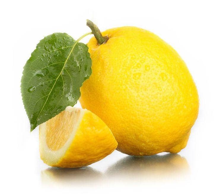 Pinterest.com/Freshharvest