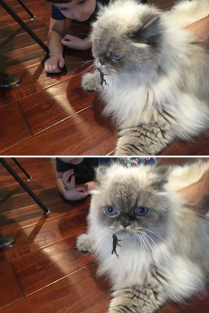 boredpanda.com/lancebeefpile