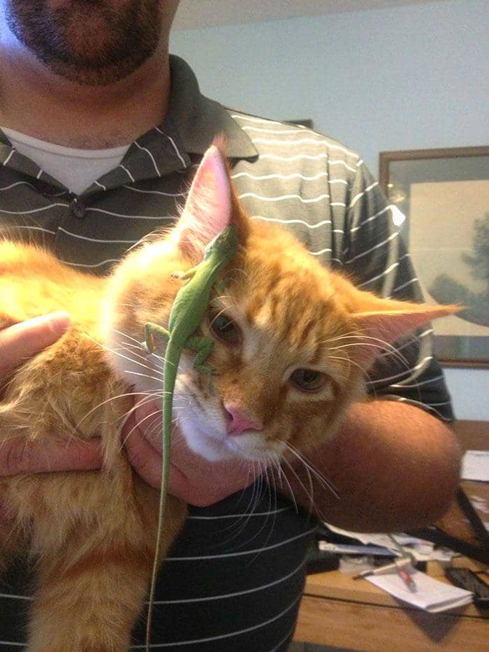 boredpanda.com/Thashiznit2003