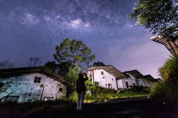 Instagram.com/Malangrayalandscaper