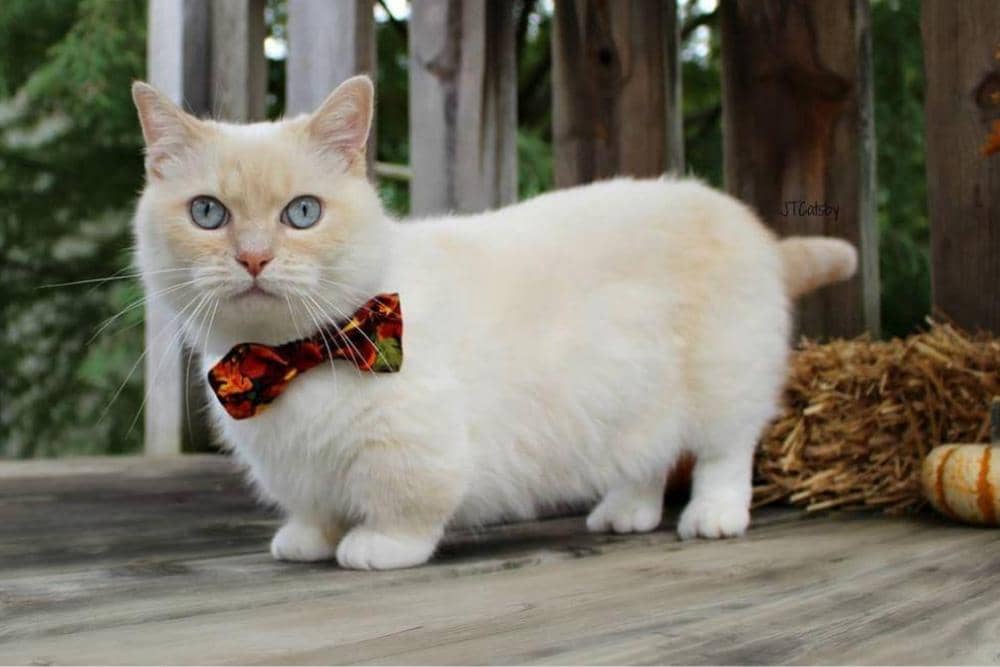 Instagram.com/otisandjr