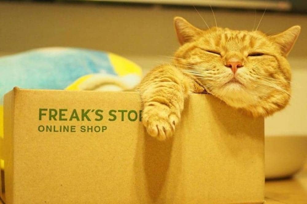 Instagram.com/amaccho5160