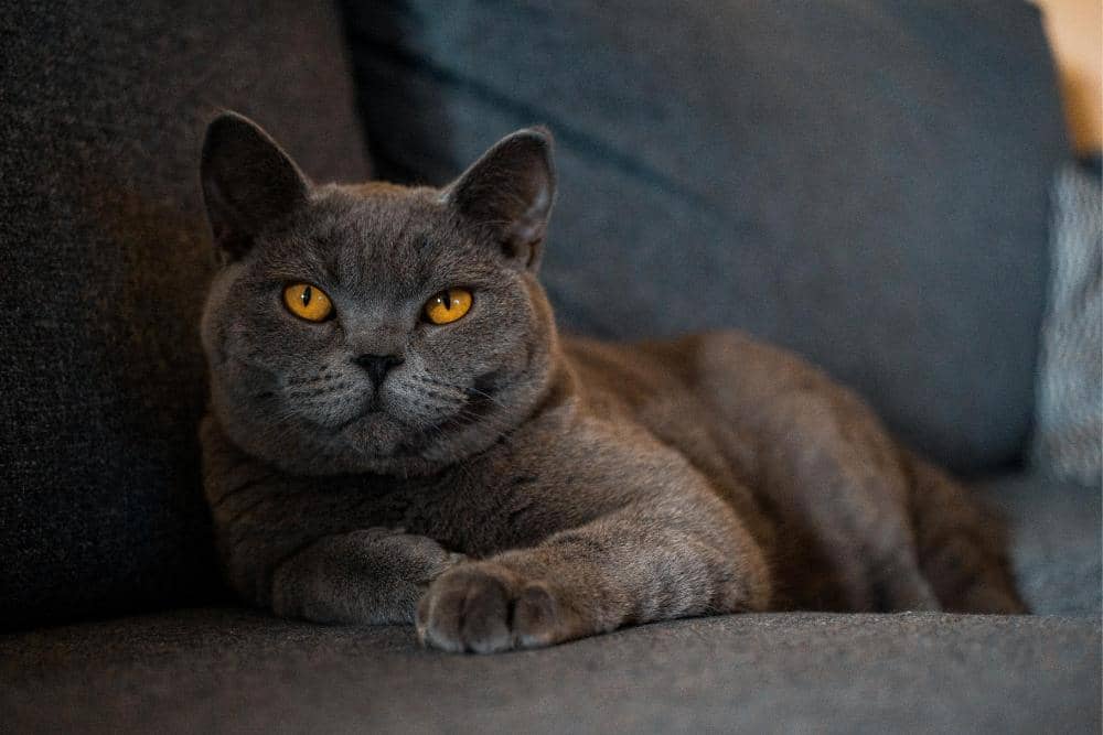 Unsplash.com/Boris Debusscher