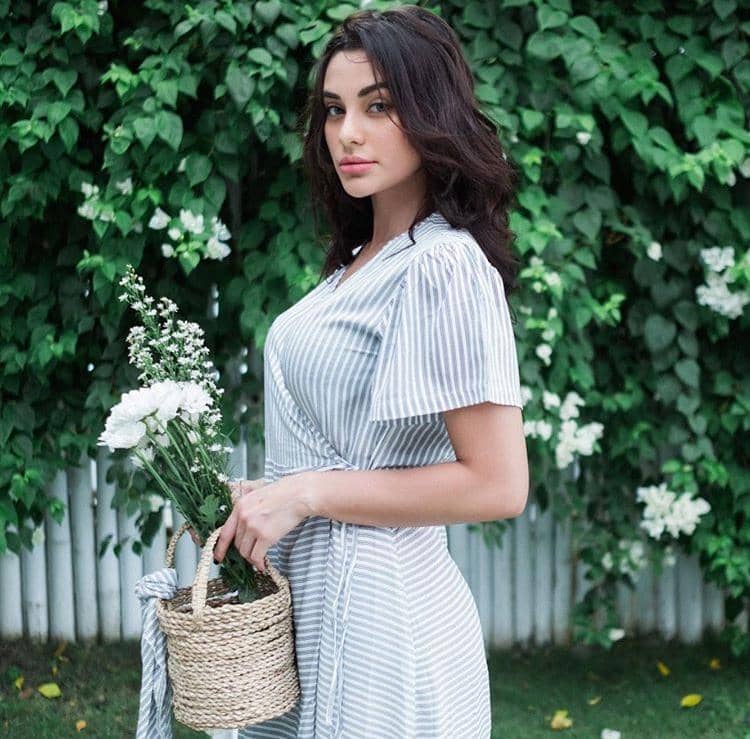 Instagram.com/ncdpapl