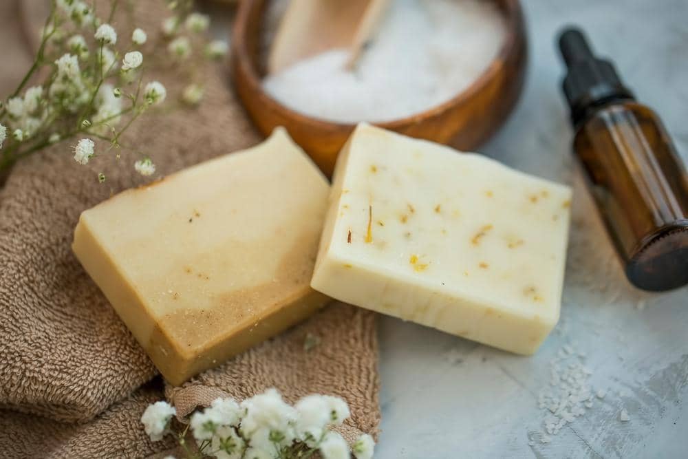 Shutterstock/catalina.m