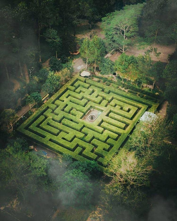 instagram.com/ theblessedbona