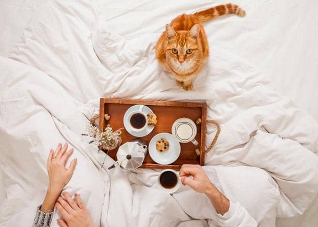 freepik.com/ freepik