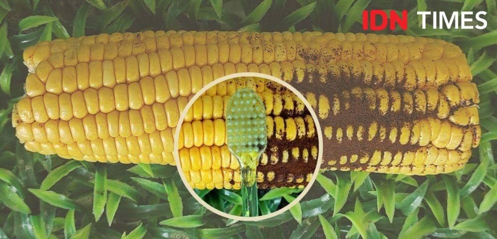 Popbela/Karsa Adiguna