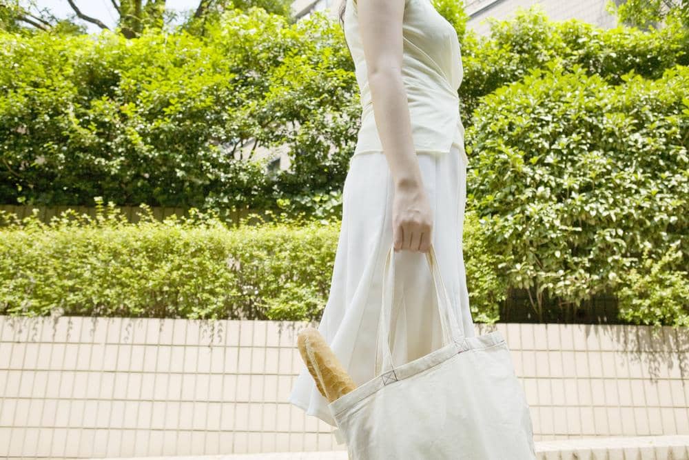 Shutterstock/KPG_Payless