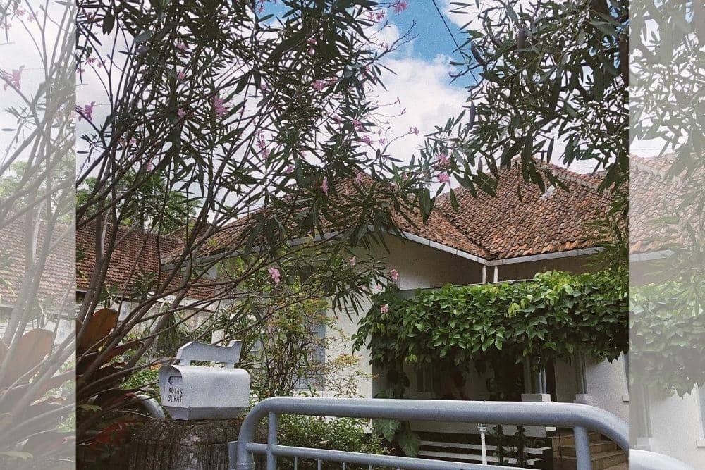 Instagram.com/vaneshaass