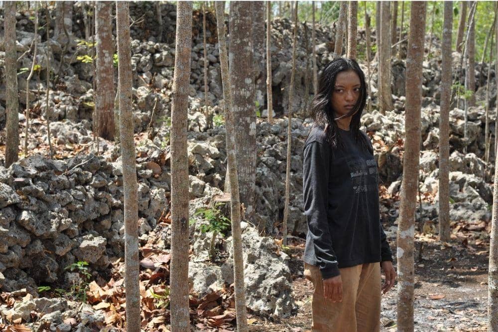 Dok. Lifelike Pictures