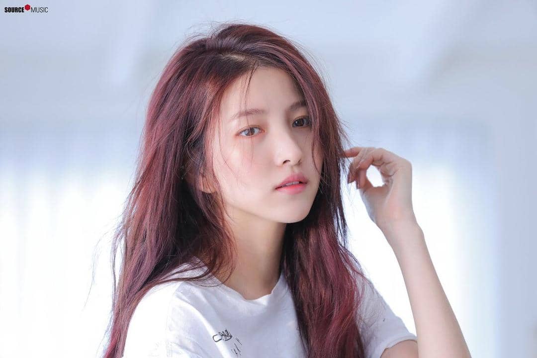 Twitter.com/souhitunited