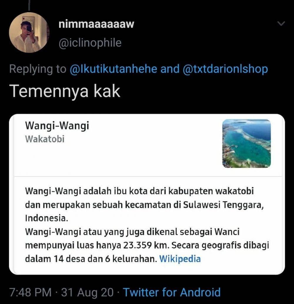 Twitter.com/iclinophile