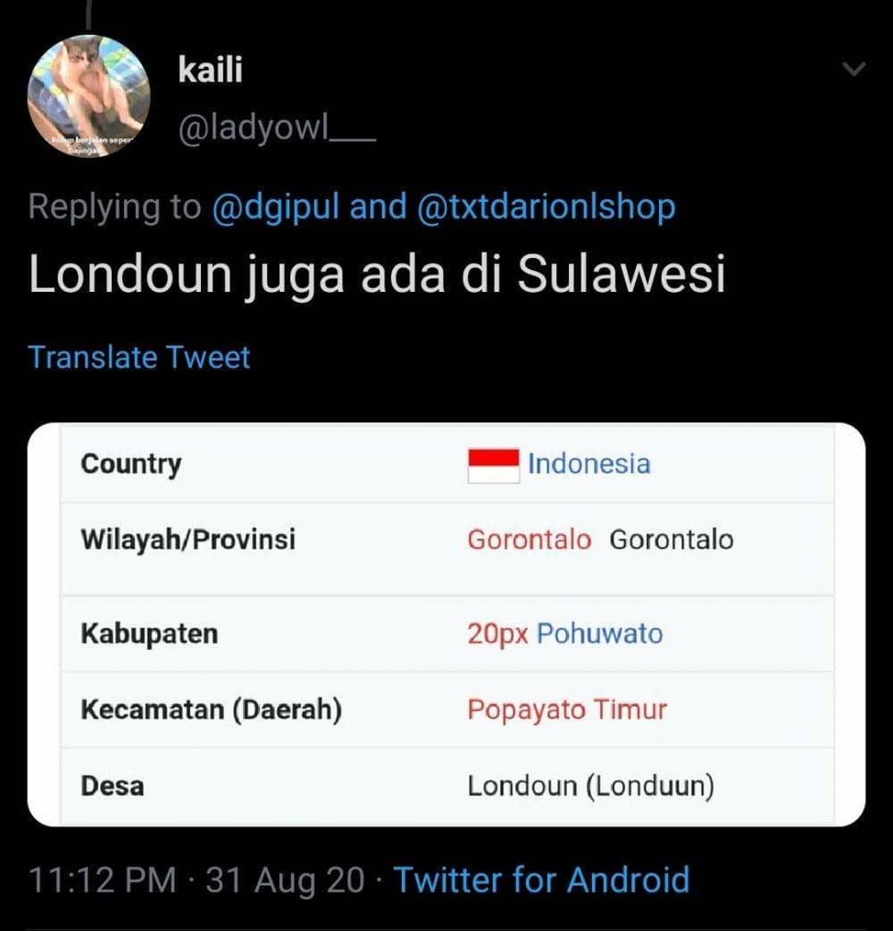 Twitter.com/ladyowl__