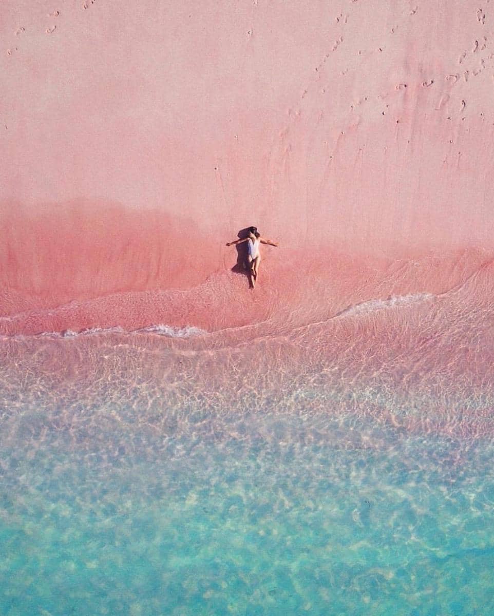 instagram.com/ quinn.luu