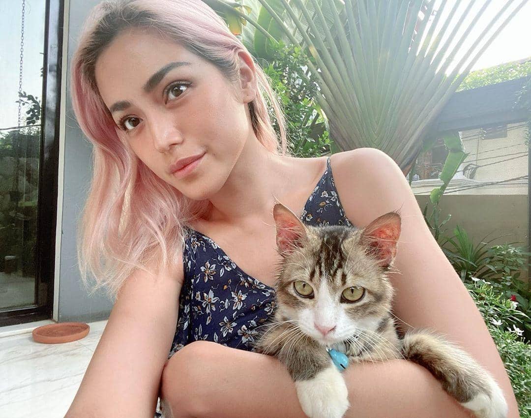 Instagram.com/inijedar