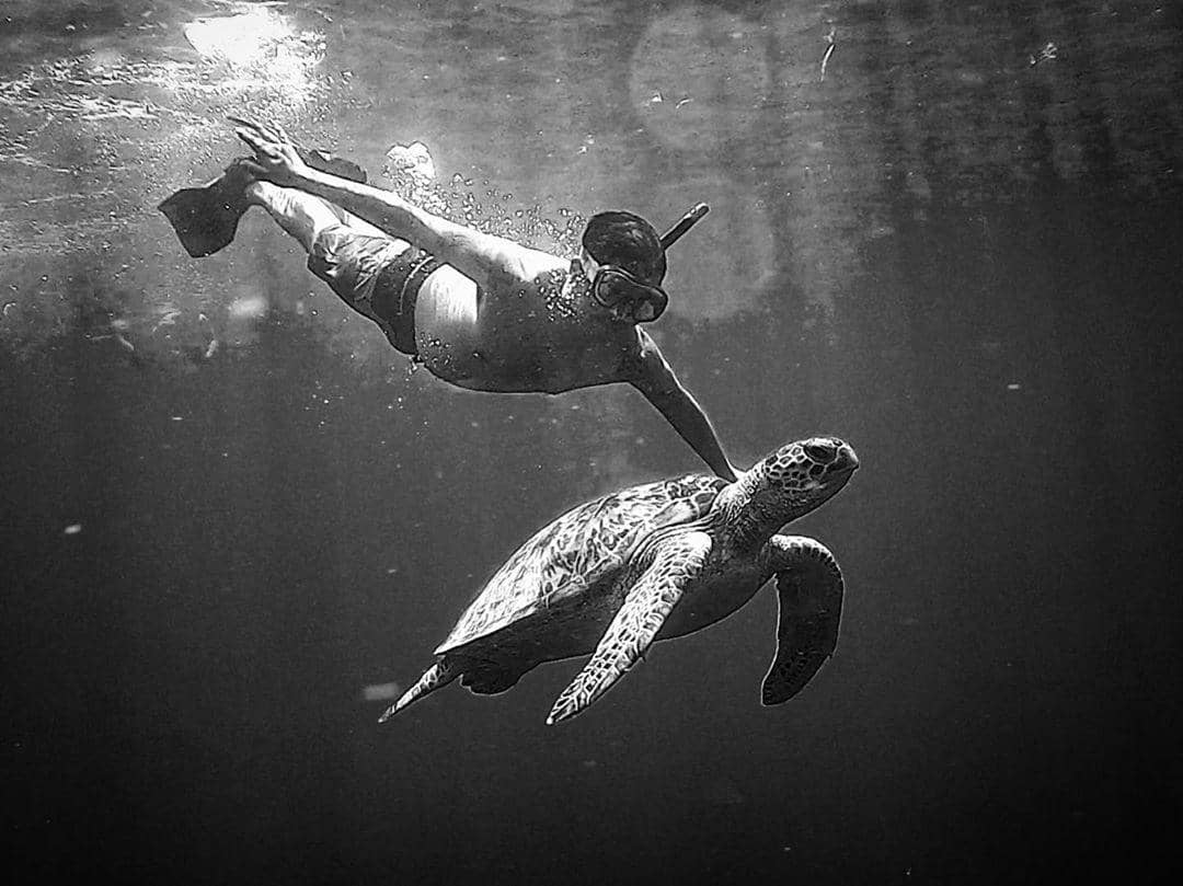 Instagram.com/Gadiiing