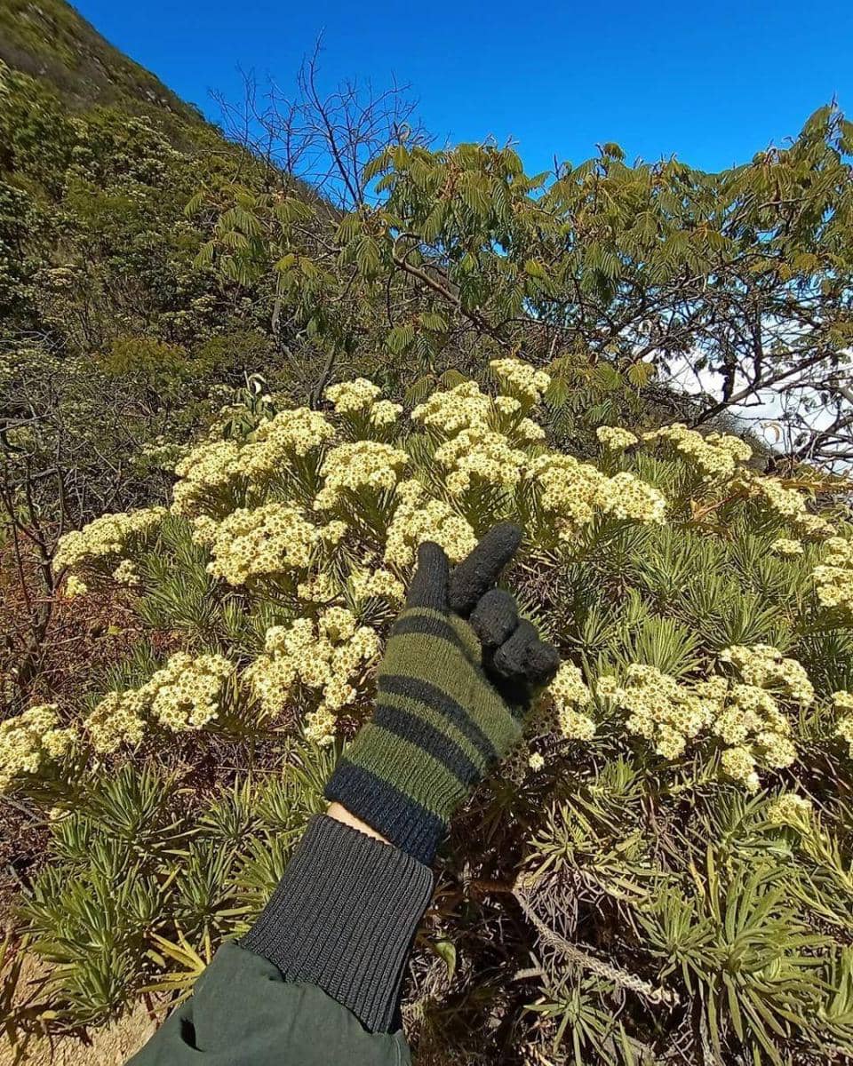 instagram.com/fiqifirmansyah12