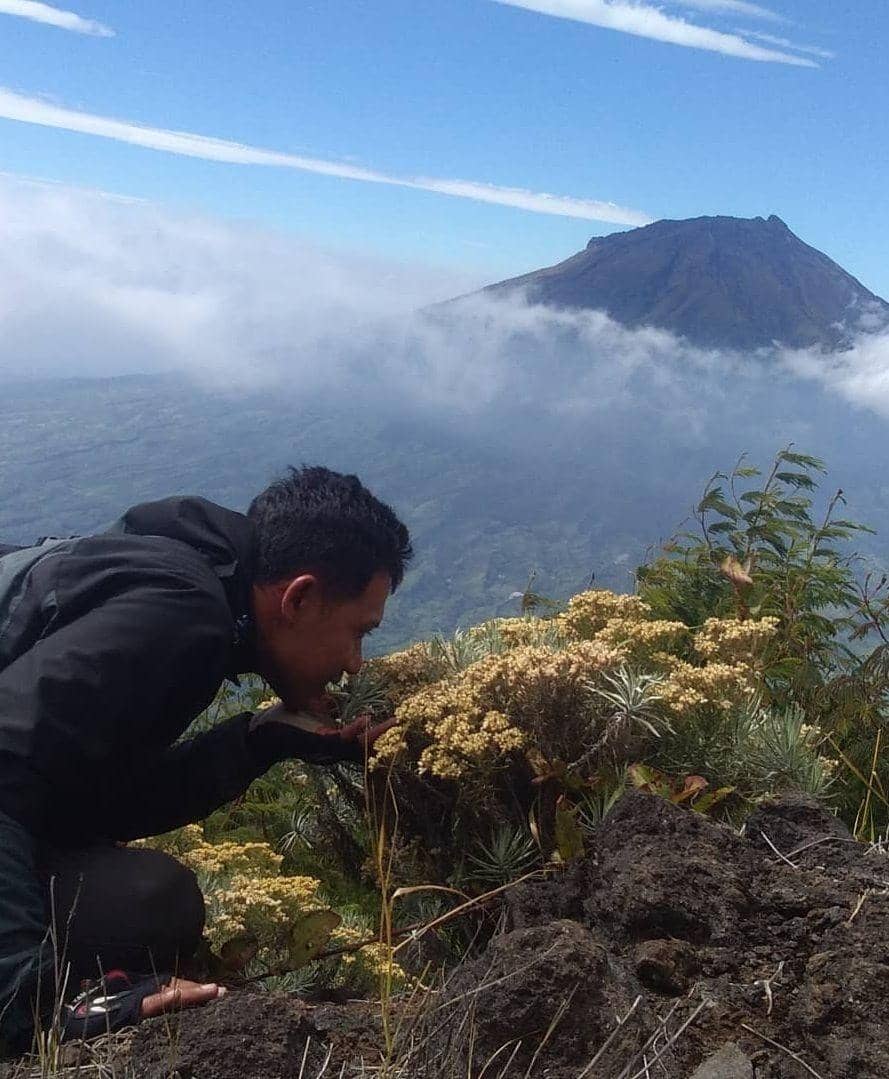 instagram.com/senjaadv_