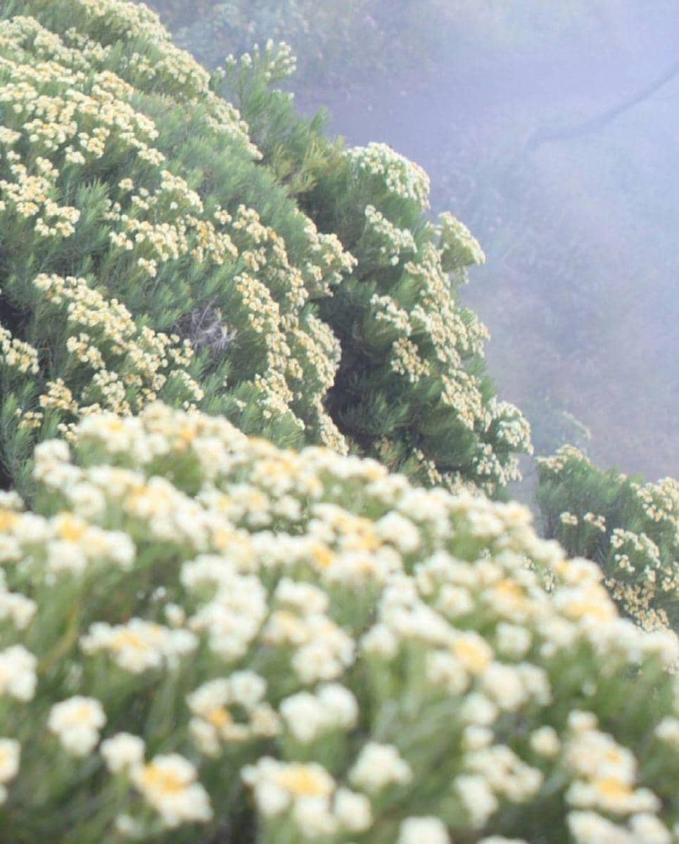 instagram.com/_jerse_adji_h_