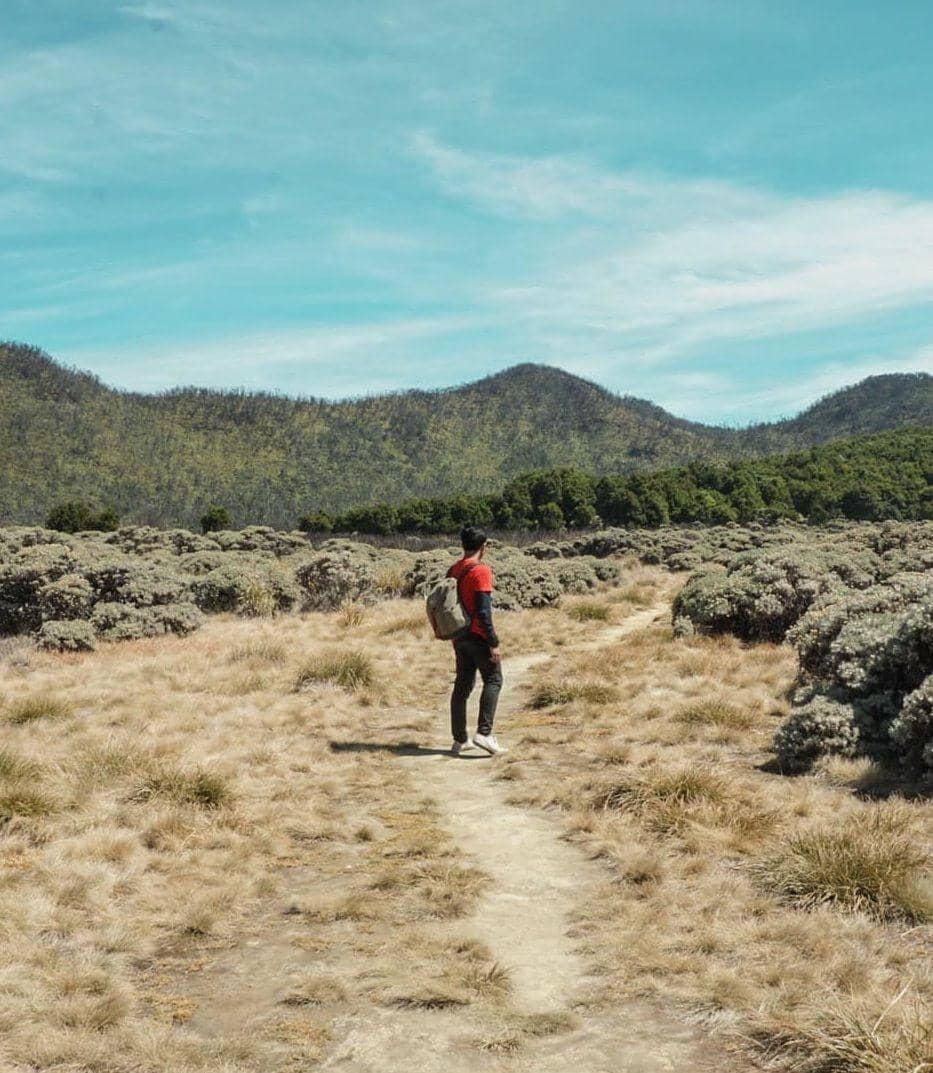 instagram.com/wiradh